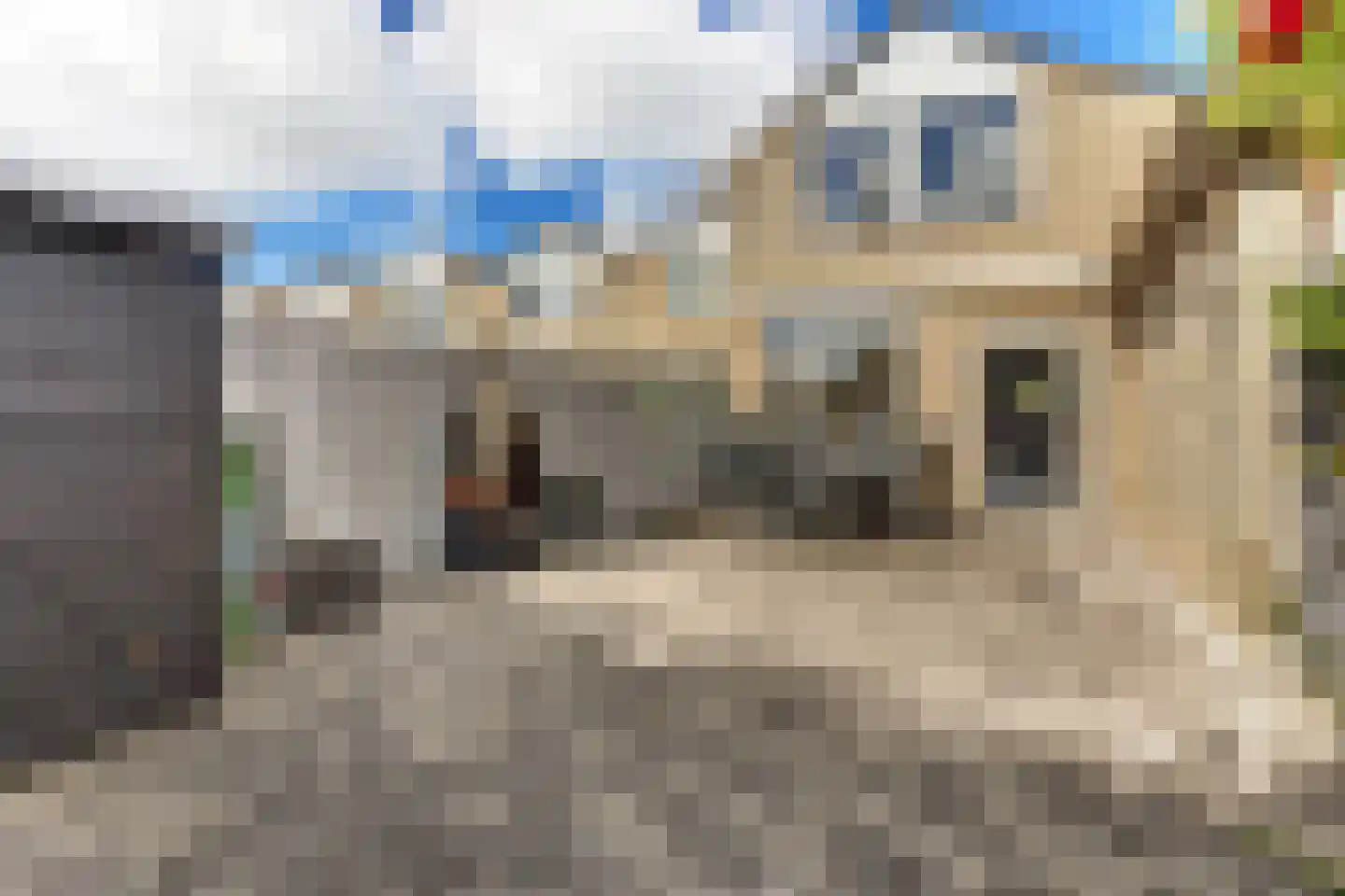 Sterkenburg 71 Vlissingen thumbnail 21