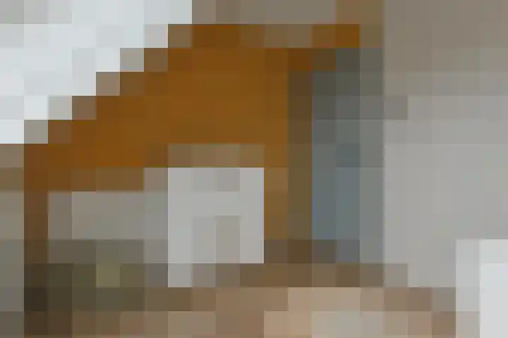 Sterkenburg 73 Alphen aan den Rijn thumbnail 34