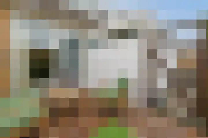 Sterkenburg 73 Alphen aan den Rijn thumbnail 41