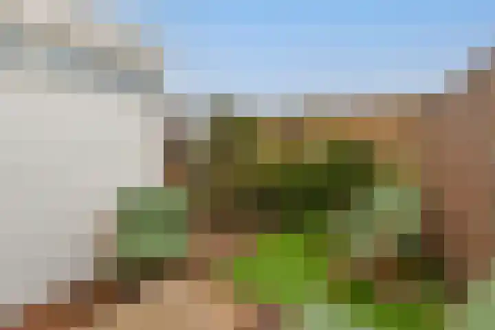 Sterkenburg 73 Alphen aan den Rijn thumbnail 42
