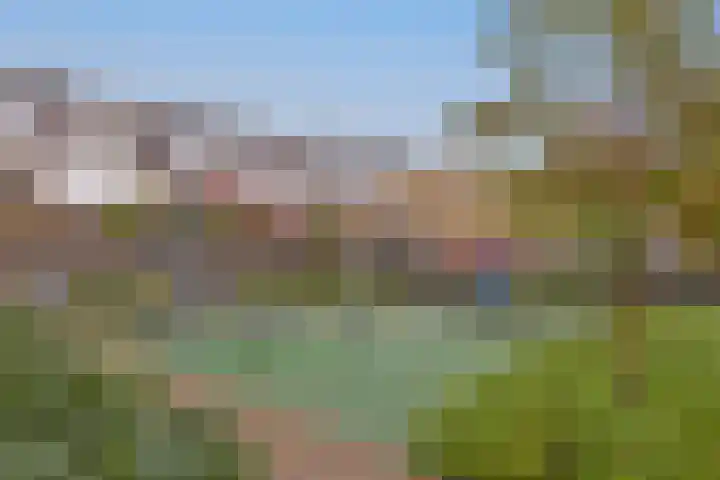 Sterkenburg 73 Alphen aan den Rijn thumbnail 46