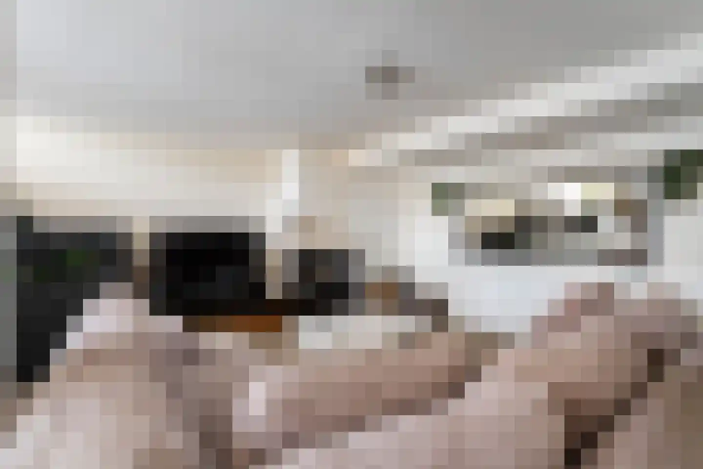 Sterkenburg 8 Alphen aan den Rijn thumbnail 32
