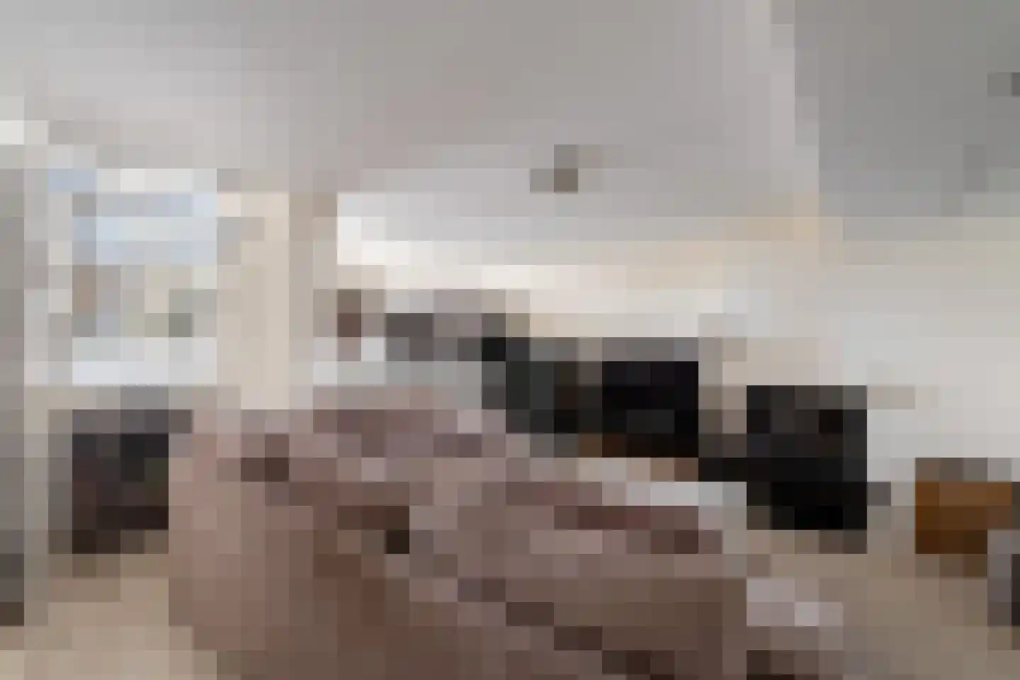 Sterkenburg 8 Alphen aan den Rijn thumbnail 33