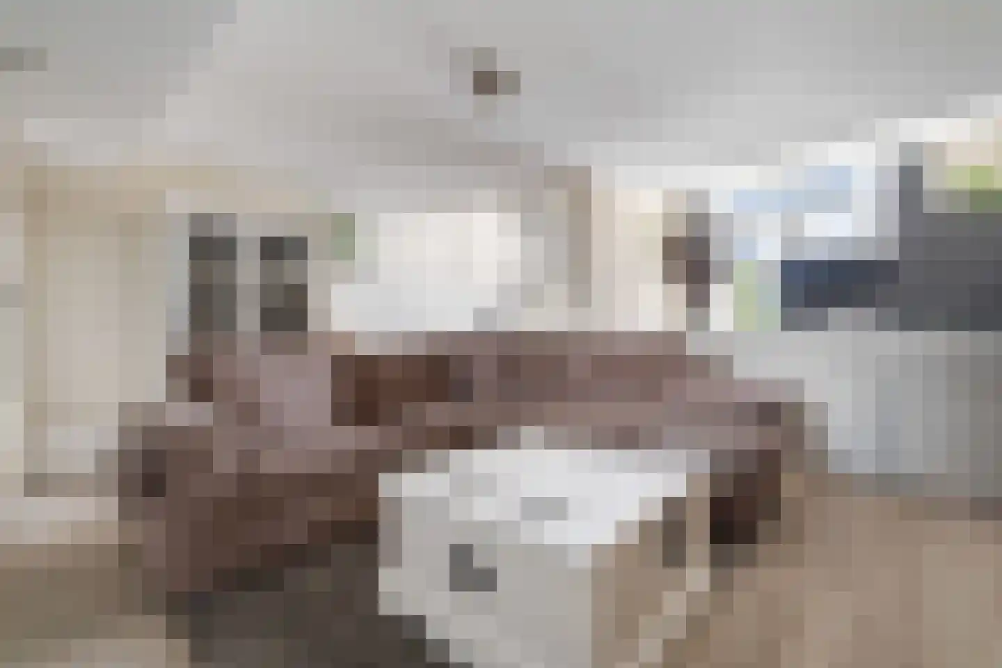 Sterkenburg 8 Alphen aan den Rijn thumbnail 35