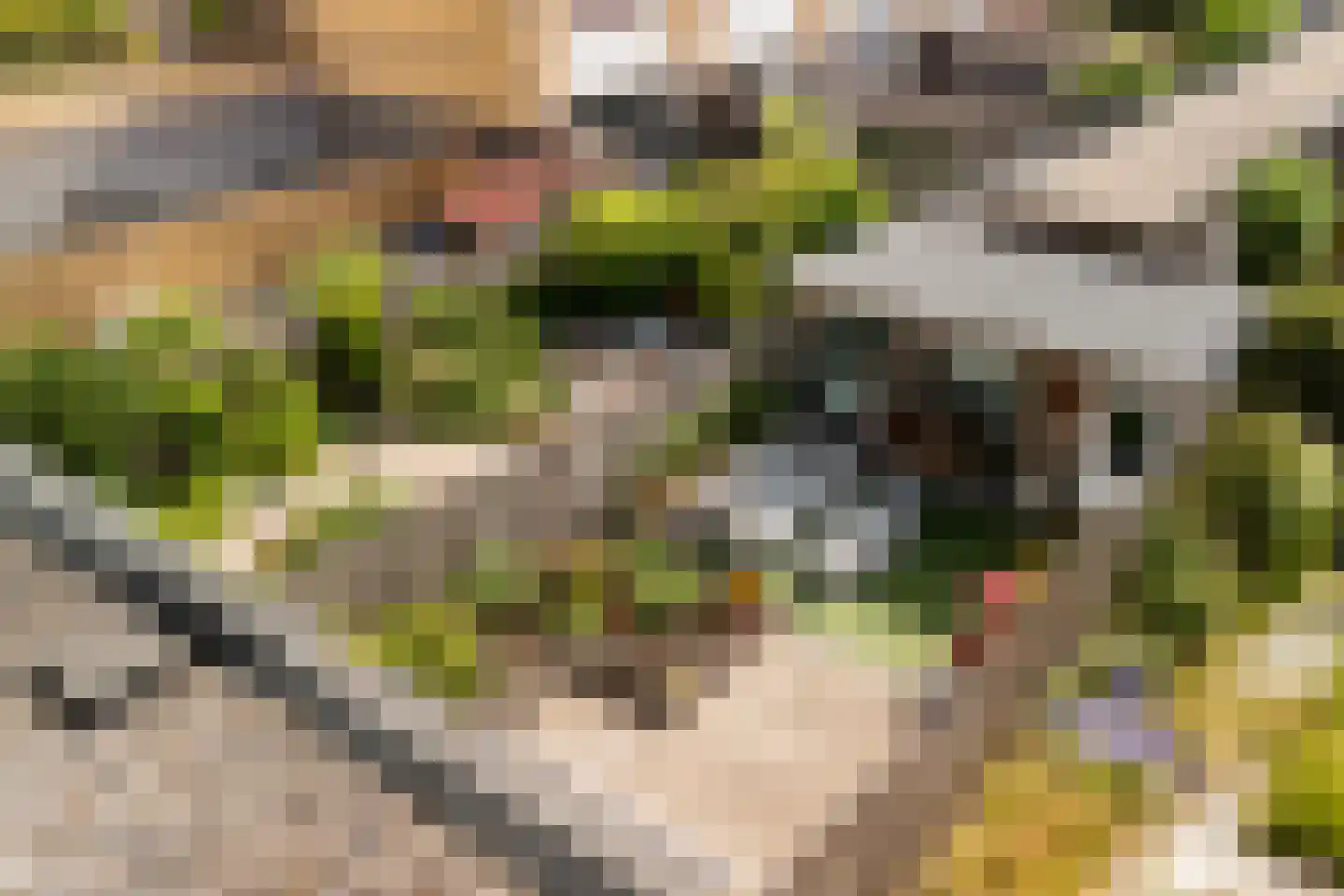 Sterkenburg 8 Alphen aan den Rijn thumbnail 53