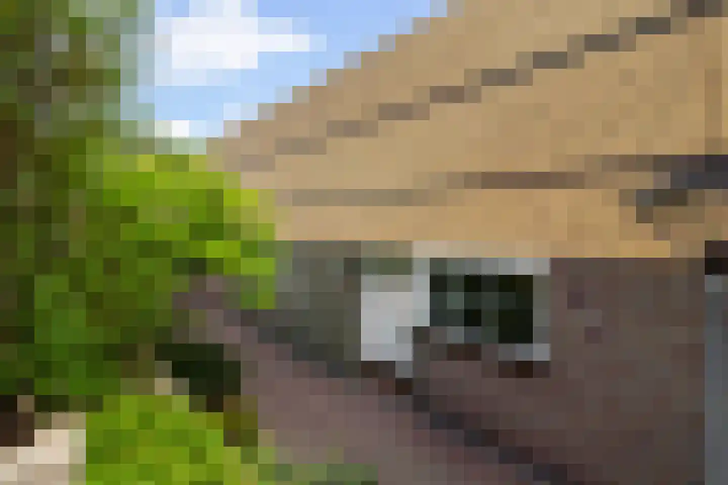 Sterkenburg 8 Alphen aan den Rijn thumbnail 8