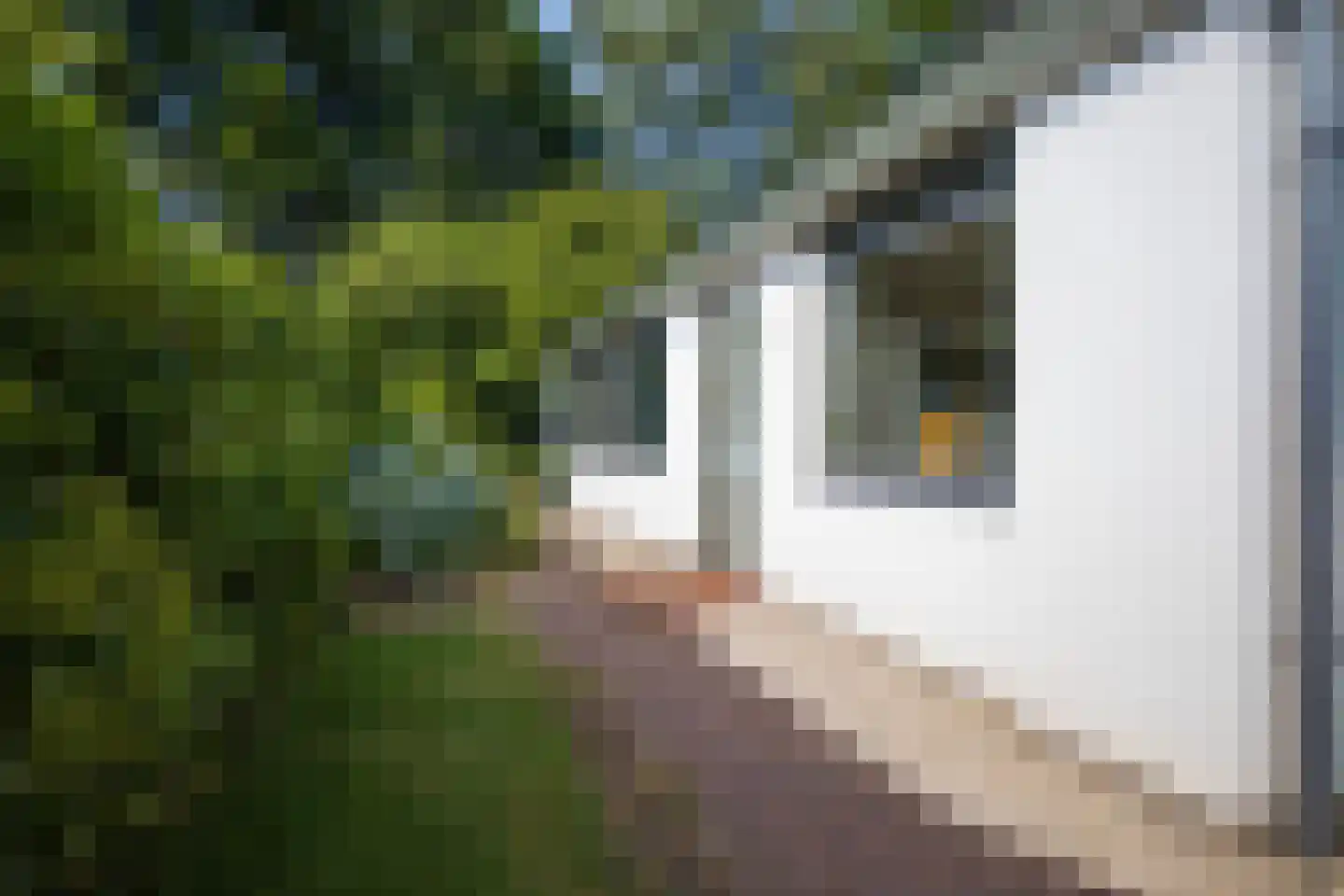 Sterkenburg 8 Veenendaal thumbnail 64