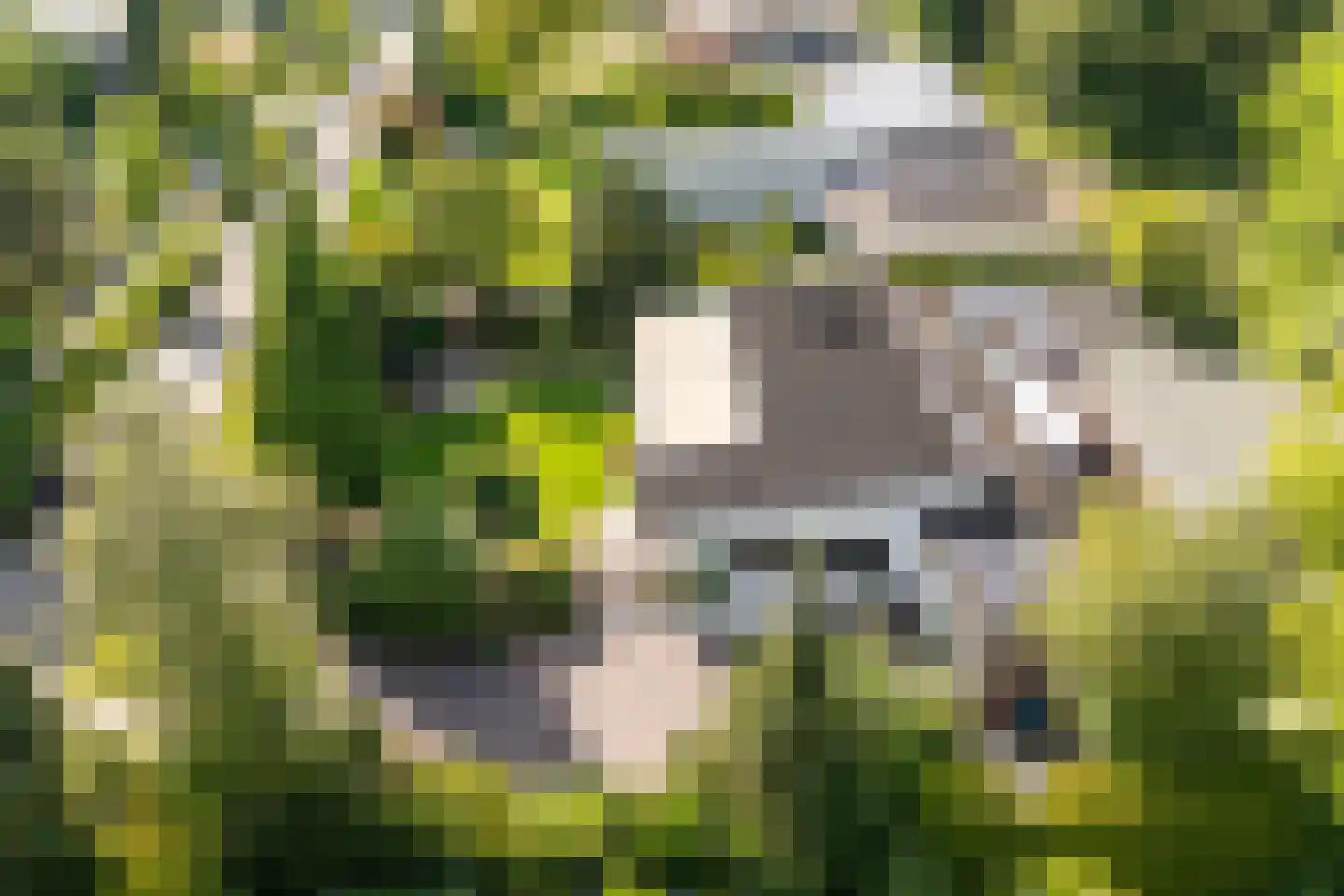 Sterkenburg 8 Veenendaal thumbnail 69