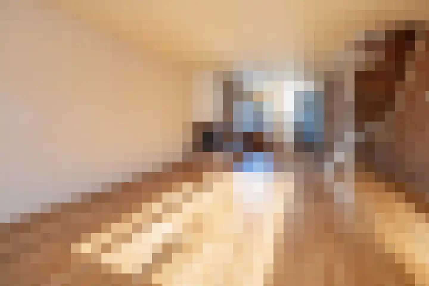 Sterkenburgerlaan 16 Doorn thumbnail 4