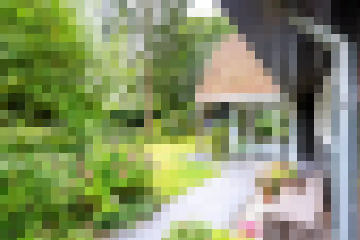 Sterkenburgerlaan 18 a Doorn thumbnail 52