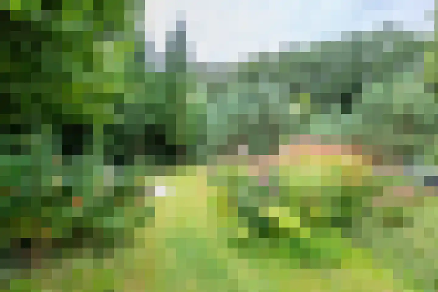 Sterkenburgerlaan 18 a Doorn thumbnail 58