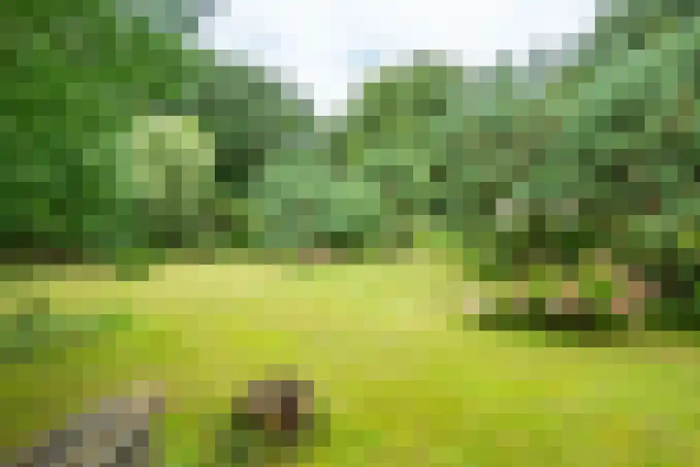 Sterkenburgerlaan 18 a Doorn thumbnail 59