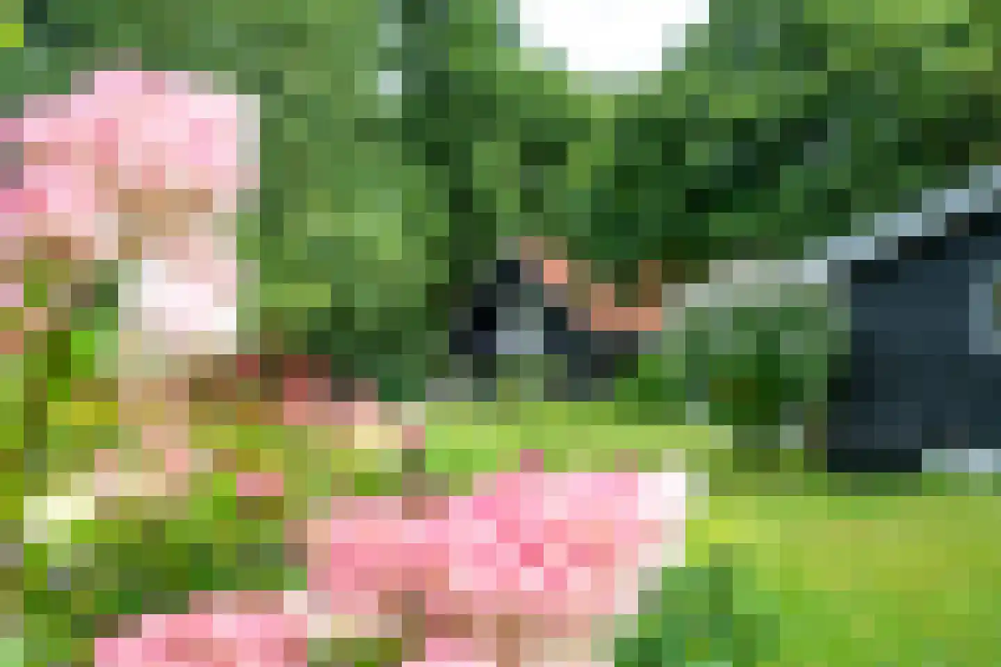 Sterkenburgerlaan 18 a Doorn thumbnail 61