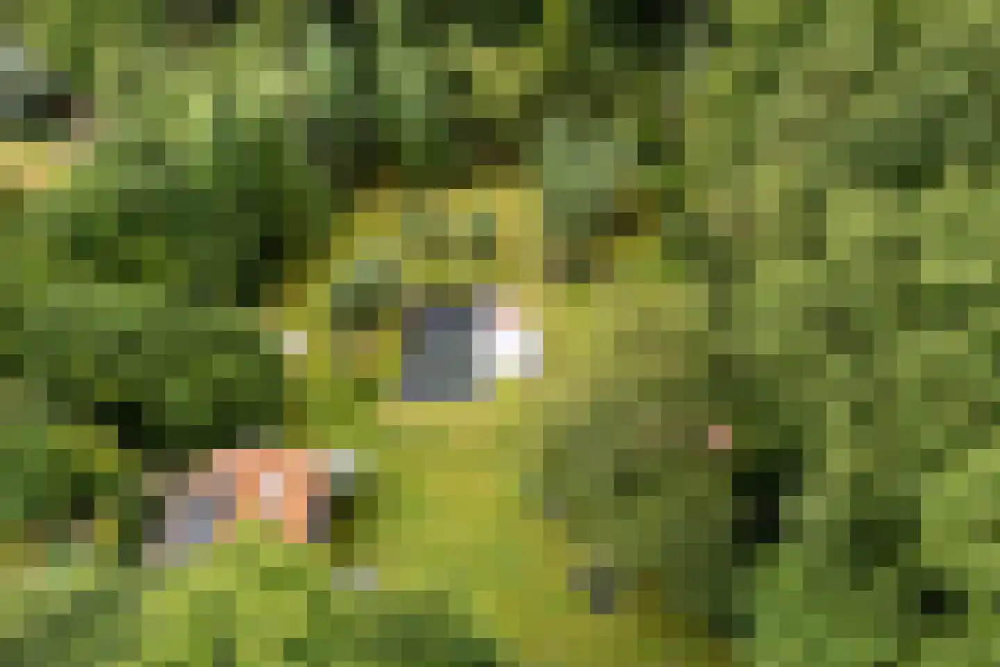 Sterkenburgerlaan 18 a Doorn thumbnail 64