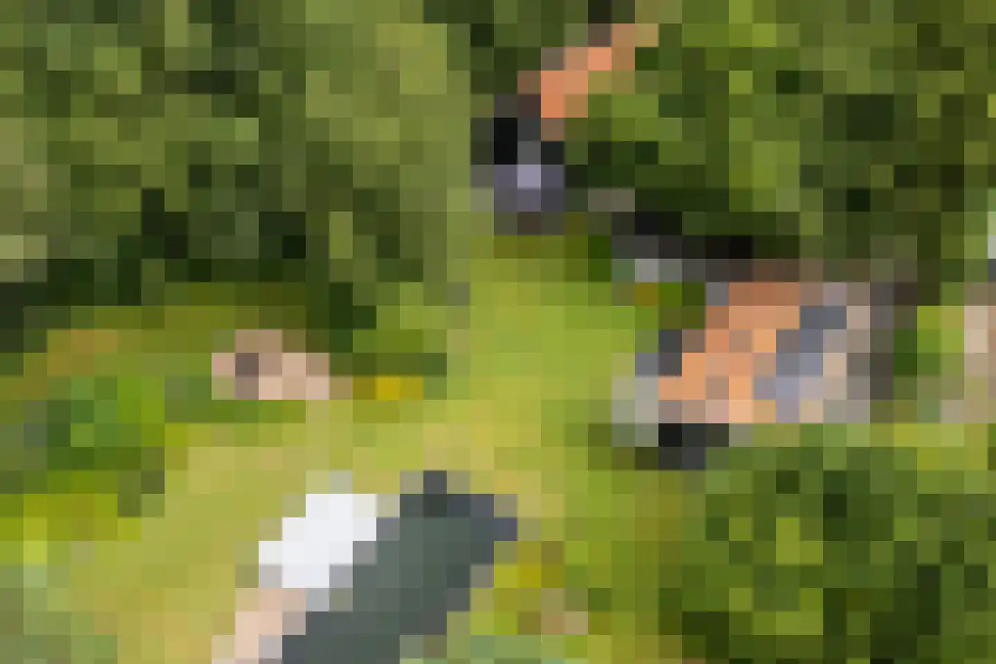 Sterkenburgerlaan 18 a Doorn thumbnail 65