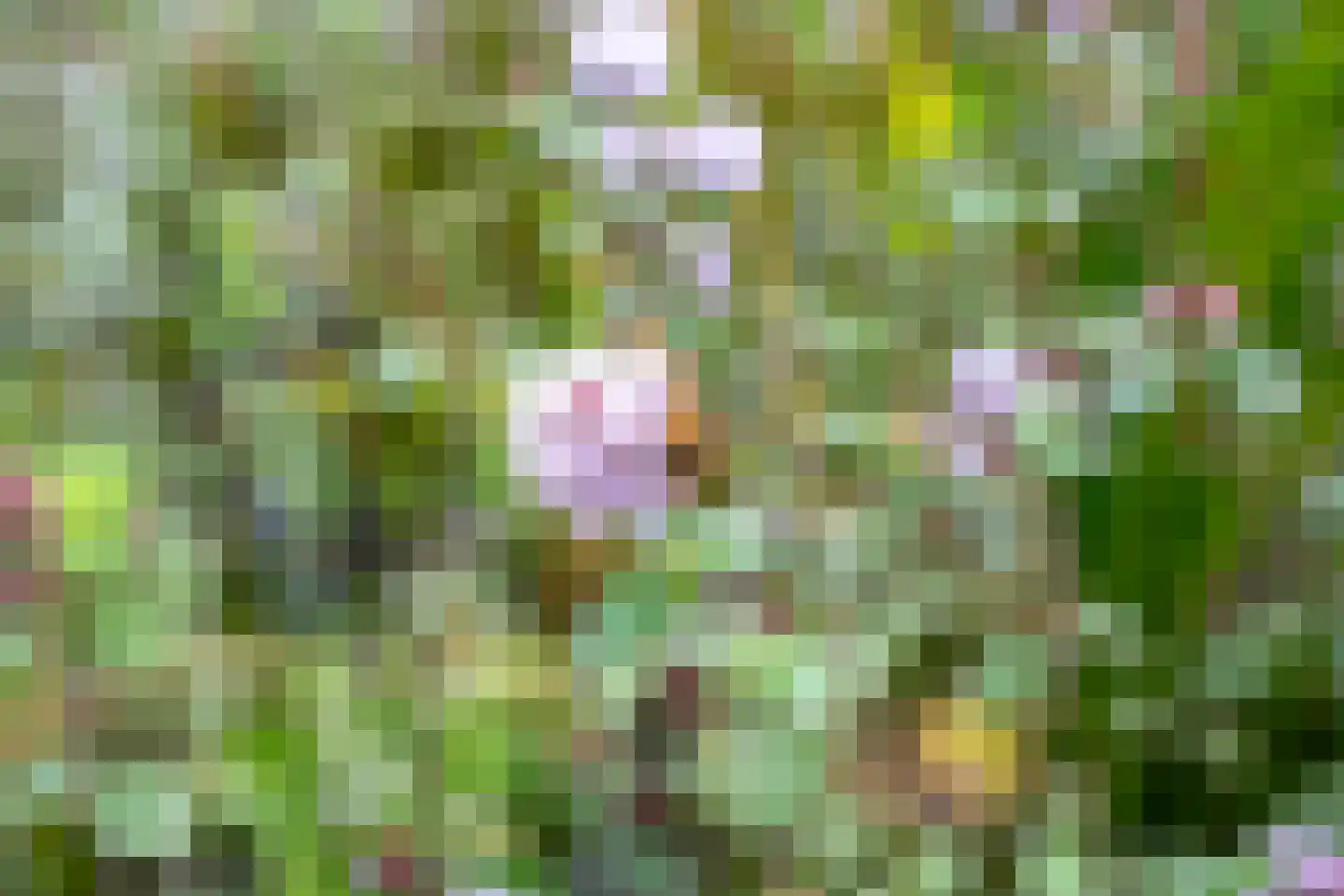 Sterkenburgerlaan 18 a Doorn thumbnail 67