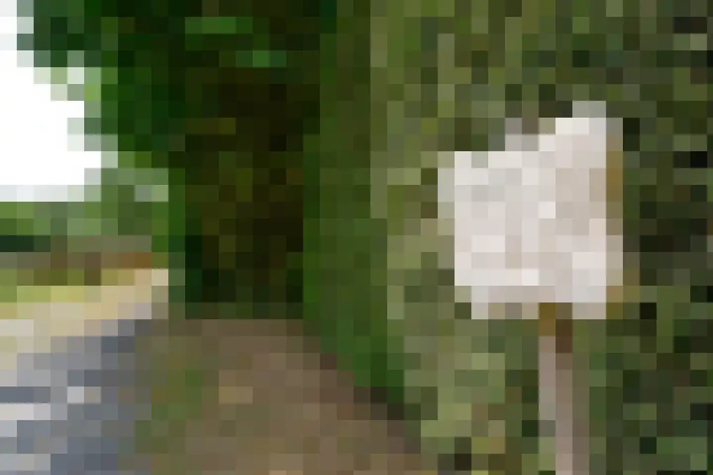Sterkenburgerlaan 18 a Doorn thumbnail 73
