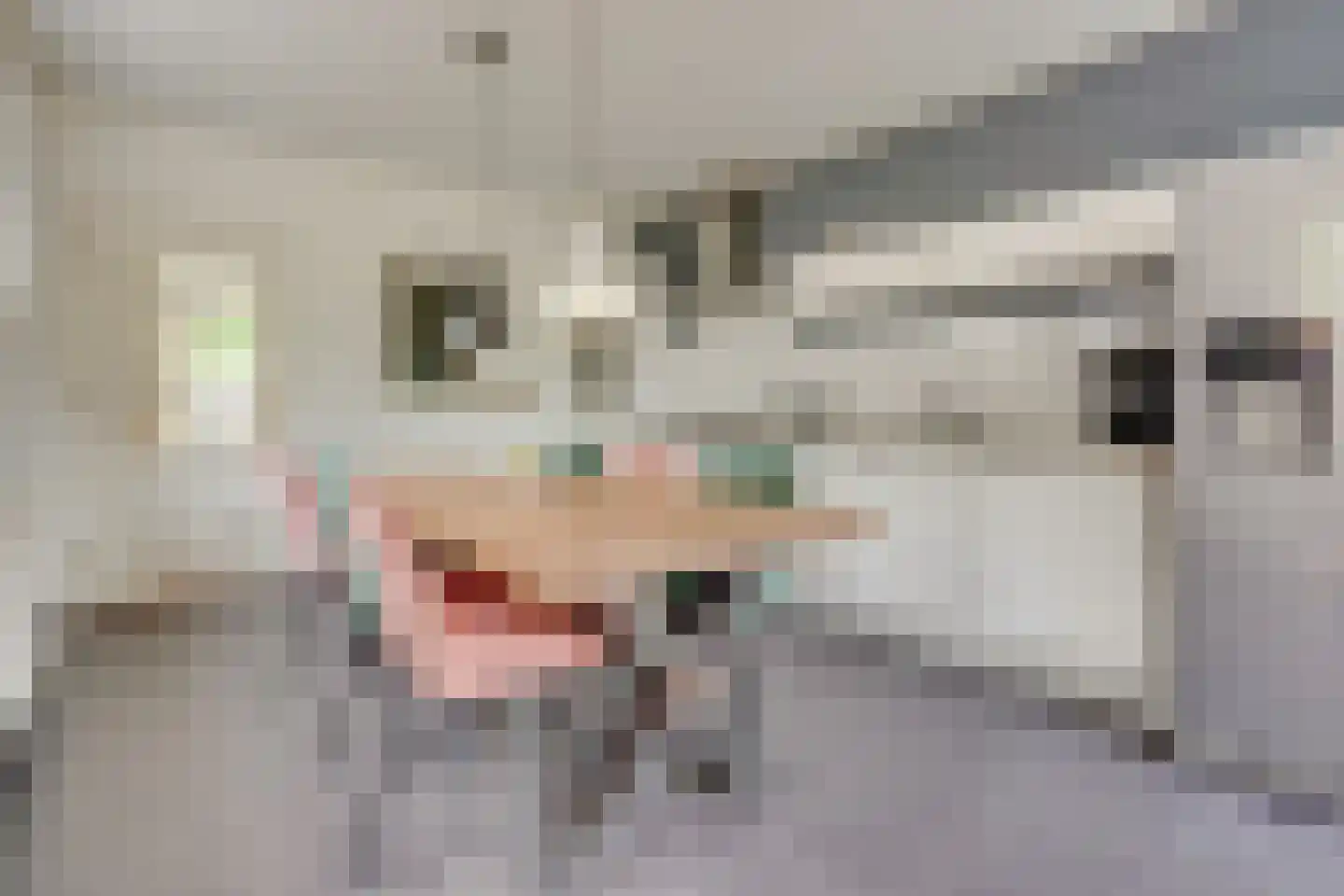 Sterkenburgerlaan 22 Doorn thumbnail 15