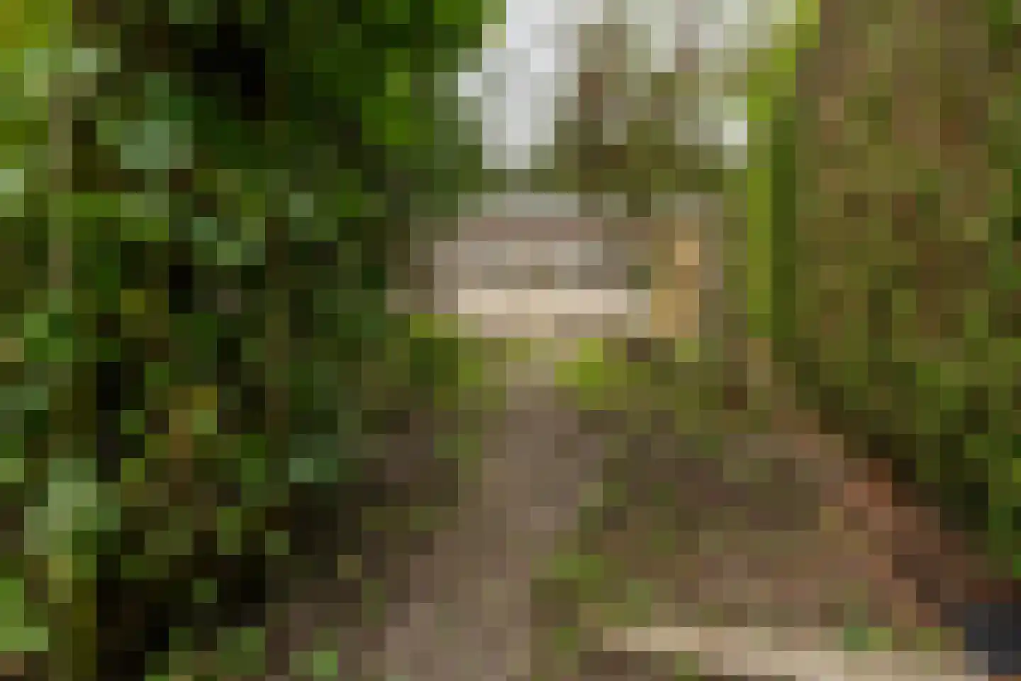 Sterkenburgerlaan 22 Doorn thumbnail 21