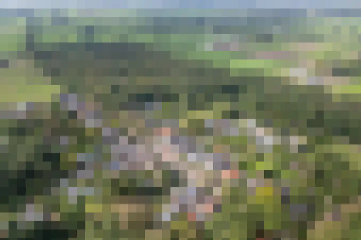 Sterkenburgerlaan 22 Doorn thumbnail 39