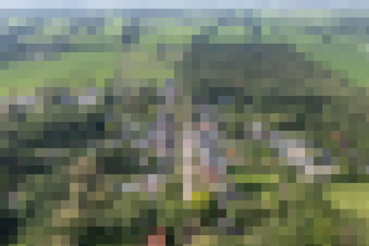 Sterkenburgerlaan 22 Doorn thumbnail 40