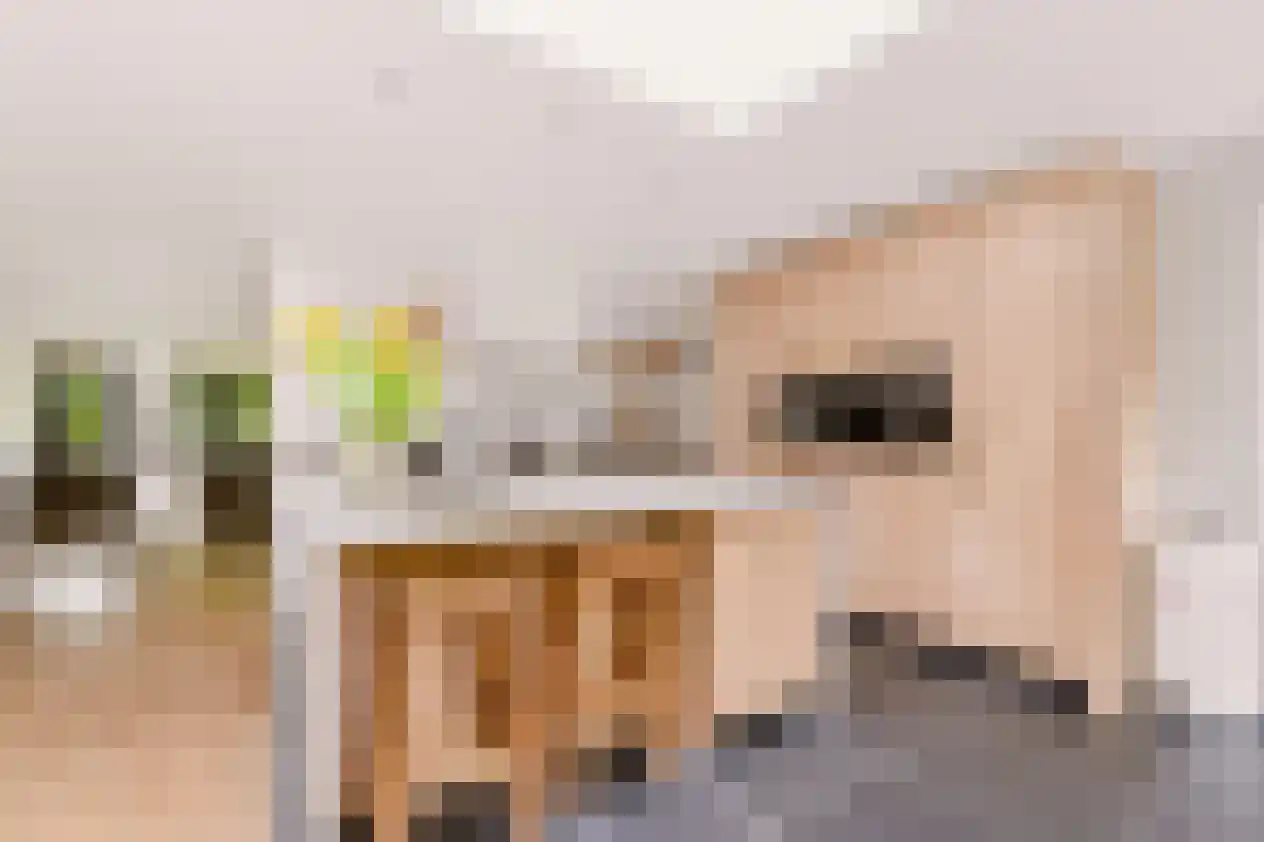Sterkenburgerlaan 43 Doorn thumbnail 12