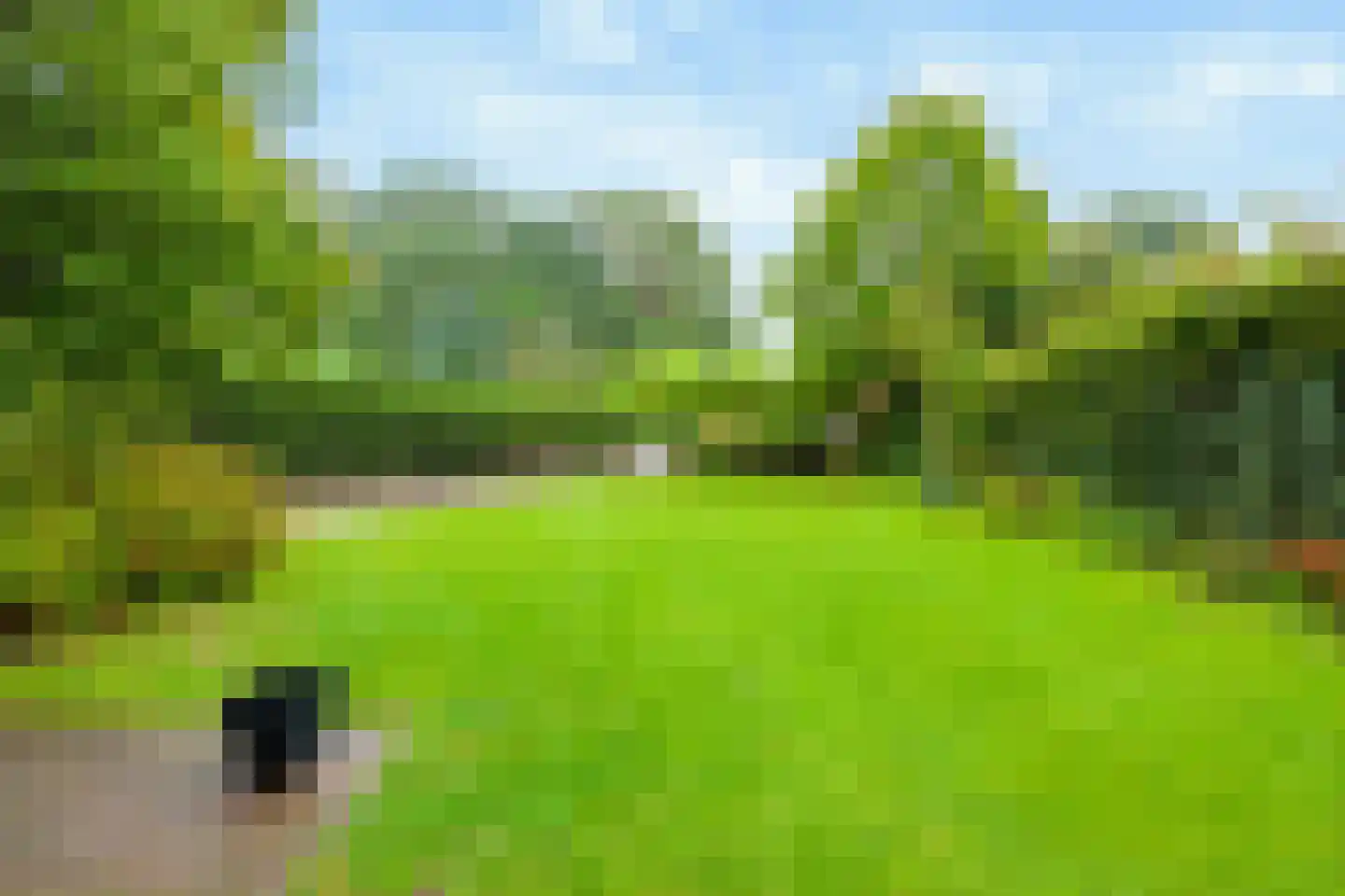 Sterkenburgerlaan 43 Doorn thumbnail 19