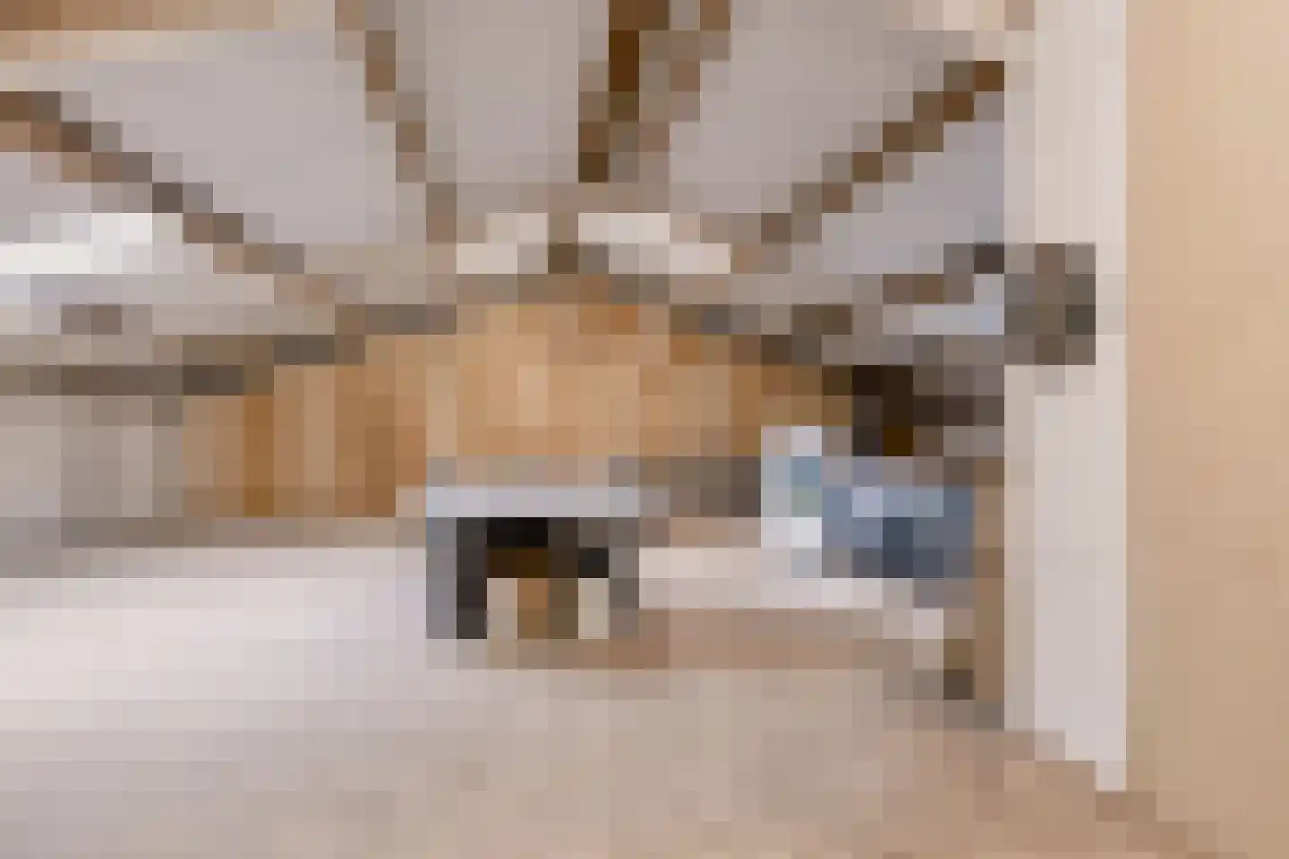 Sterkenburgerlaan 43 Doorn thumbnail 25