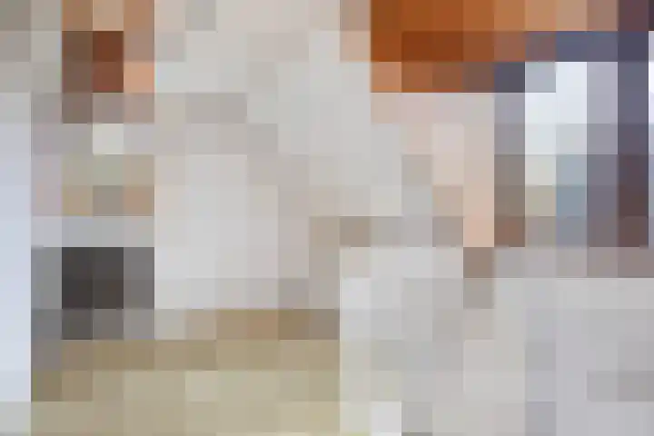 Sterkenburgerlaan 55 Doorn thumbnail 20
