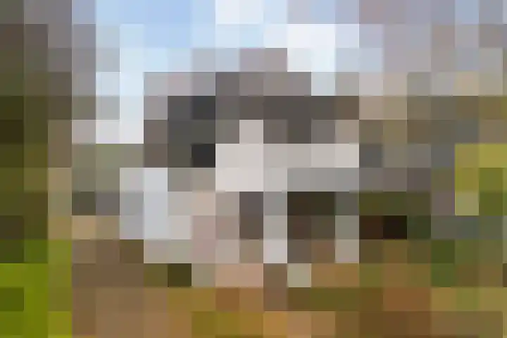 Sterkenburgerlaan 55 Doorn thumbnail 29
