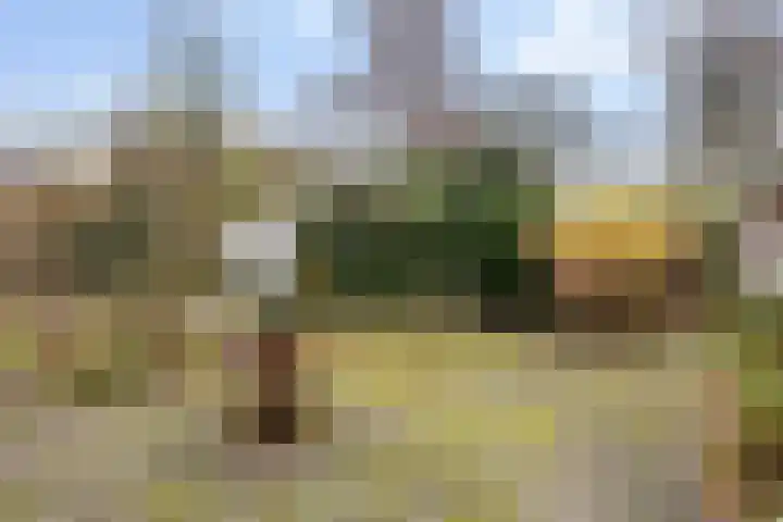 Sterkenburgerlaan 55 Doorn thumbnail 31