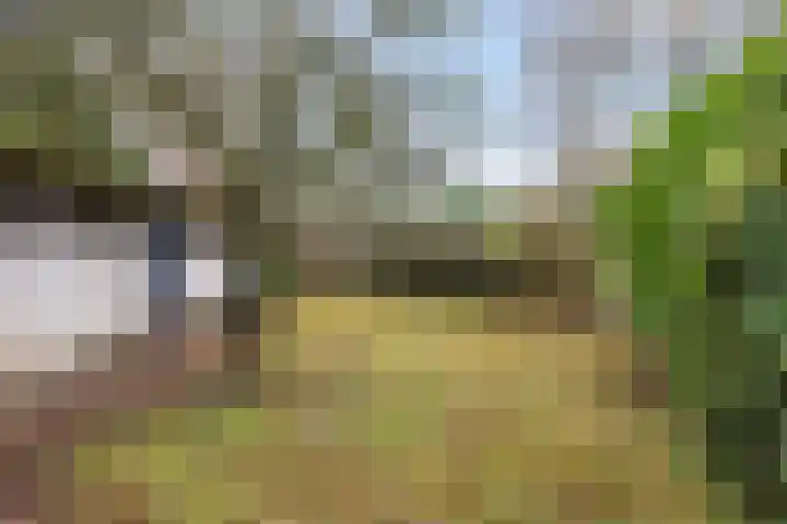 Sterkenburgerlaan 55 Doorn thumbnail 32