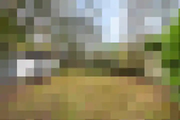 Sterkenburgerlaan 55 Doorn thumbnail 33