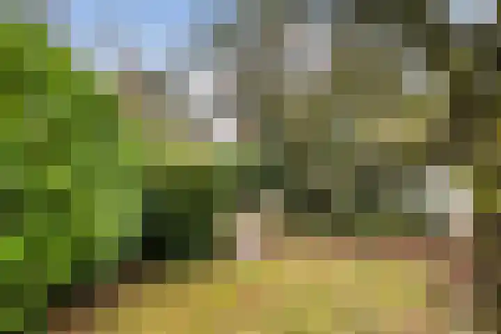 Sterkenburgerlaan 55 Doorn thumbnail 36