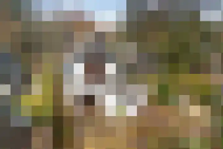 Sterkenburgerlaan 55 Doorn thumbnail 37