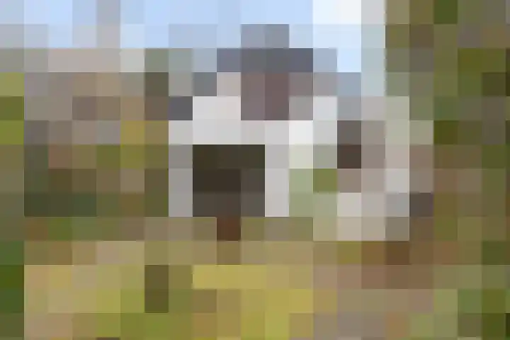 Sterkenburgerlaan 55 Doorn thumbnail 38
