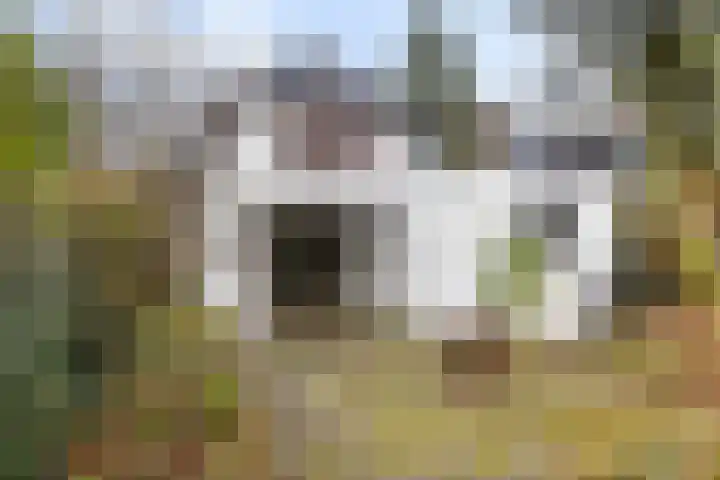 Sterkenburgerlaan 55 Doorn thumbnail 39
