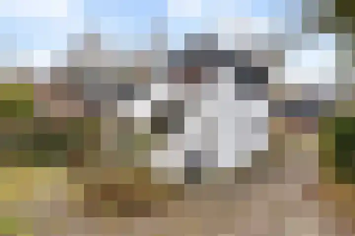 Sterkenburgerlaan 55 Doorn thumbnail 40