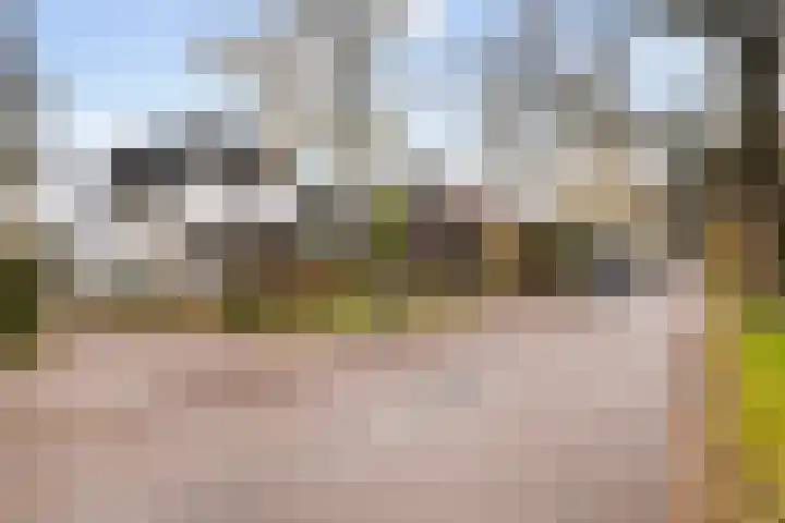 Sterkenburgerlaan 55 Doorn thumbnail 41