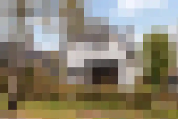 Sterkenburgerlaan 55 Doorn thumbnail 5