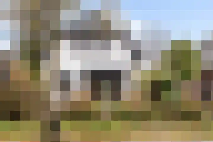 Sterkenburgerlaan 55 Doorn thumbnail 6