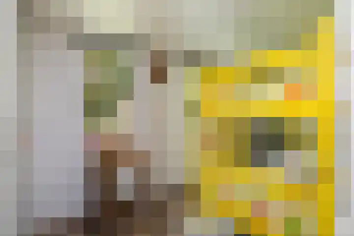 Sterkenburgerlaan 6 r 10 Doorn thumbnail 10