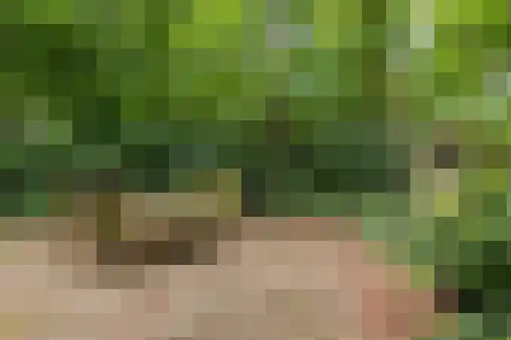 Sterkenburgerlaan 6 r 10 Doorn thumbnail 17