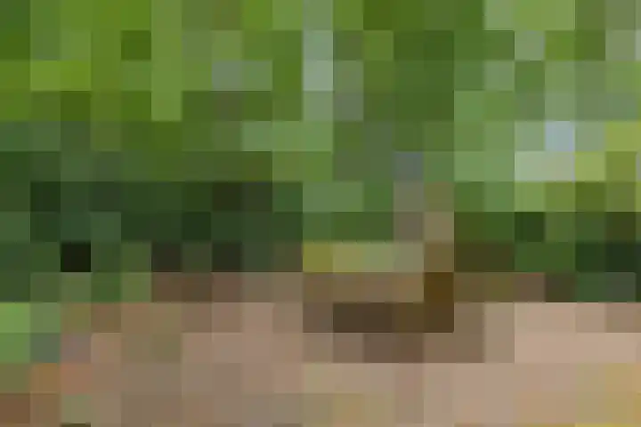 Sterkenburgerlaan 6 r 10 Doorn thumbnail 18