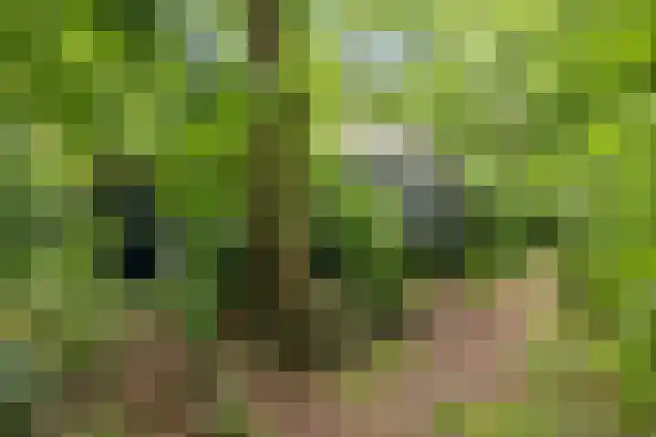 Sterkenburgerlaan 6 r 10 Doorn thumbnail 20