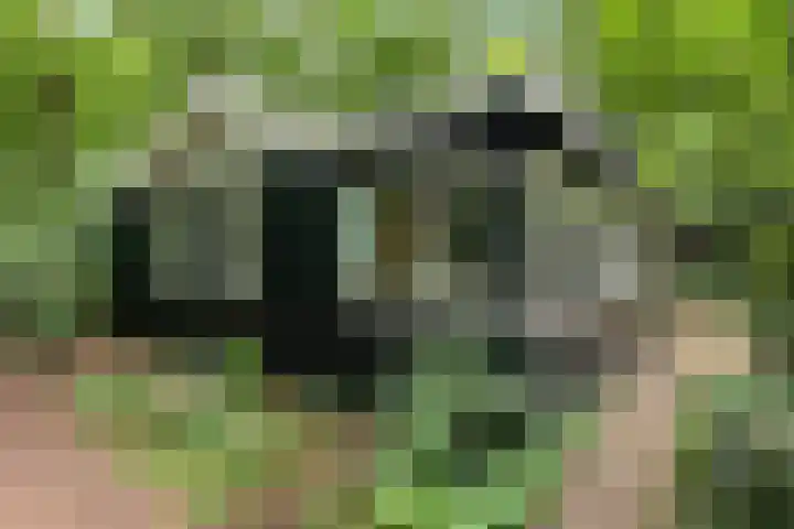 Sterkenburgerlaan 6 r 10 Doorn thumbnail 22
