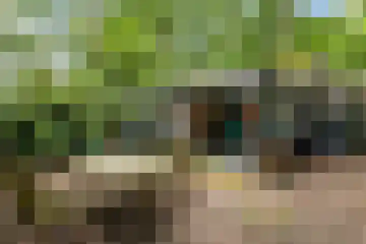 Sterkenburgerlaan 6 r 10 Doorn thumbnail 23
