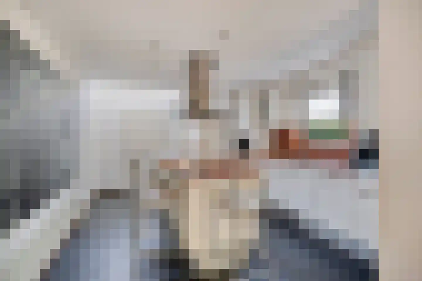 Sterkenburglaan 20 Arnhem thumbnail 10