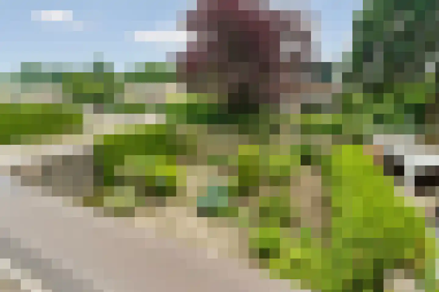 Sterkenburglaan 32 Arnhem thumbnail 32