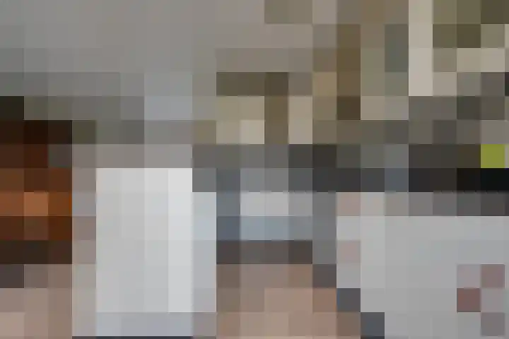 Sterkenhoeve 11 Rijen thumbnail 18